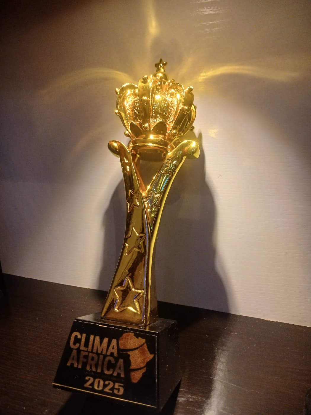 Clima Africa 2025 gold crown trophy awarded to Minister Lilian Nneji
